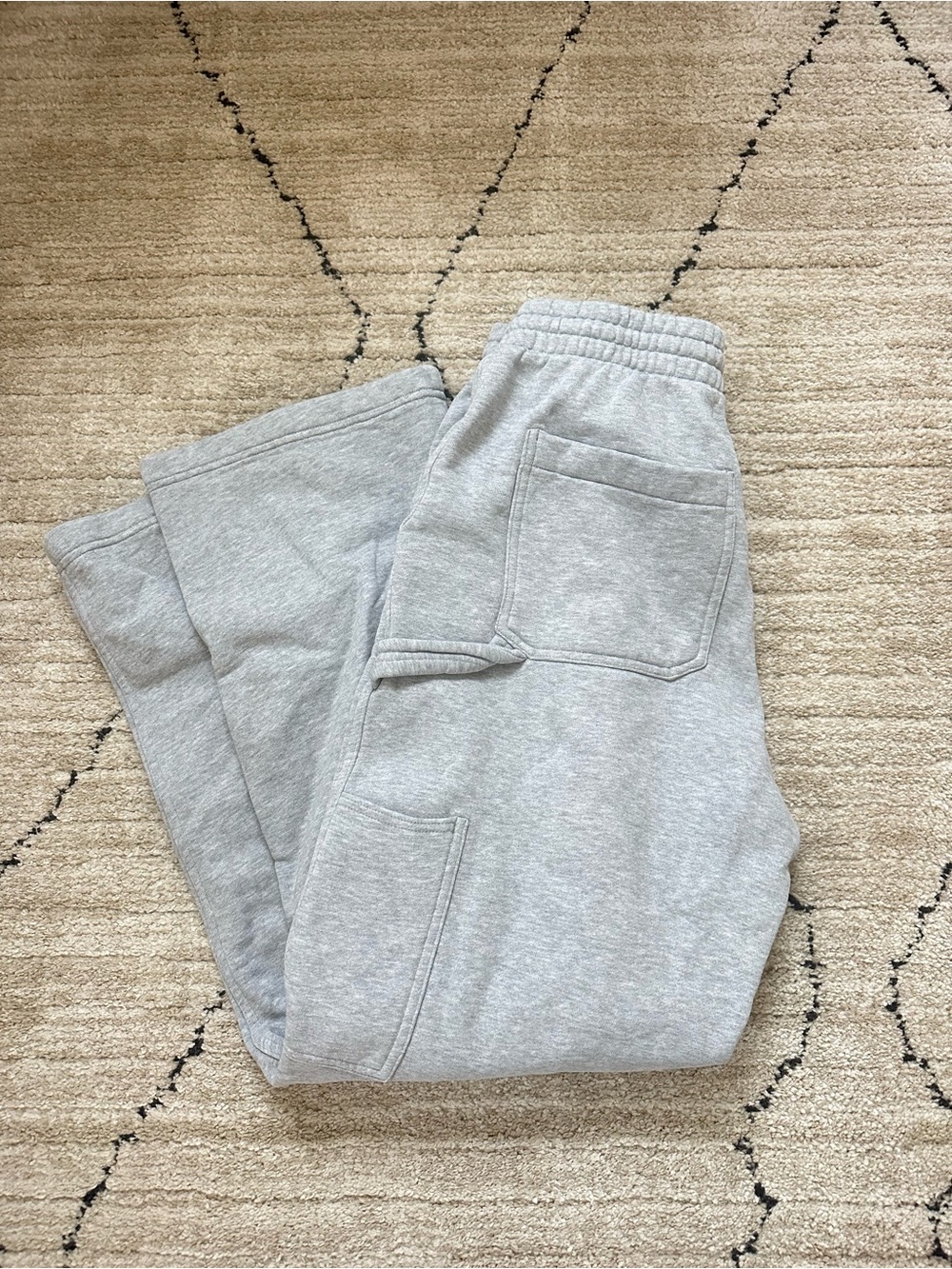 ARITZIA CARGO SWEATS